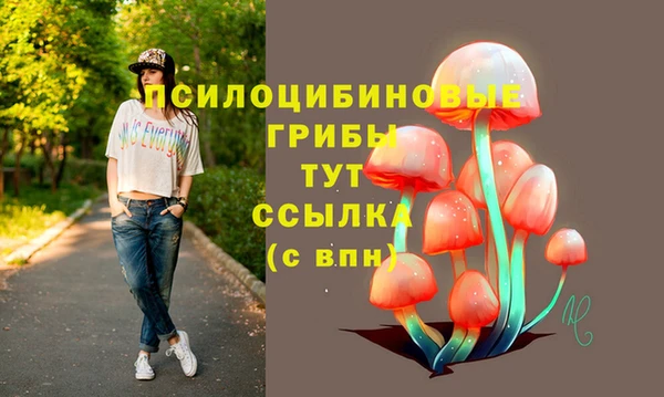 ГАЛЛЮЦИНОГЕННЫЕ ГРИБЫ Абдулино